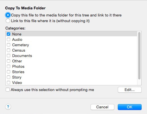 FTM Copy to Media Folder Window